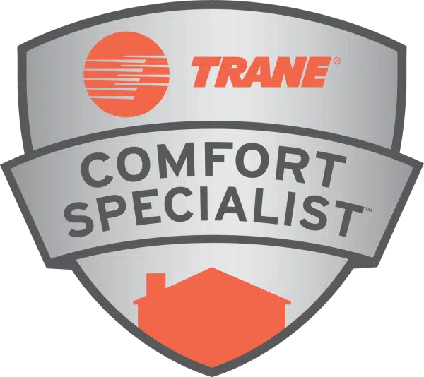 Technician diagnosing furnace failure in Hall County home during cold morning